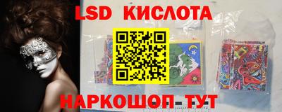 амф Гусев
