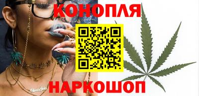 амф Гусев