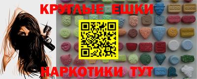 амф Гусев