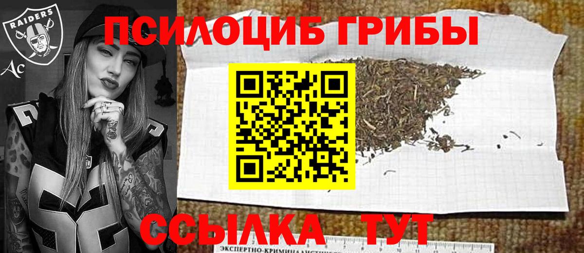 Галлюциногенные грибы Psilocybe Мегион